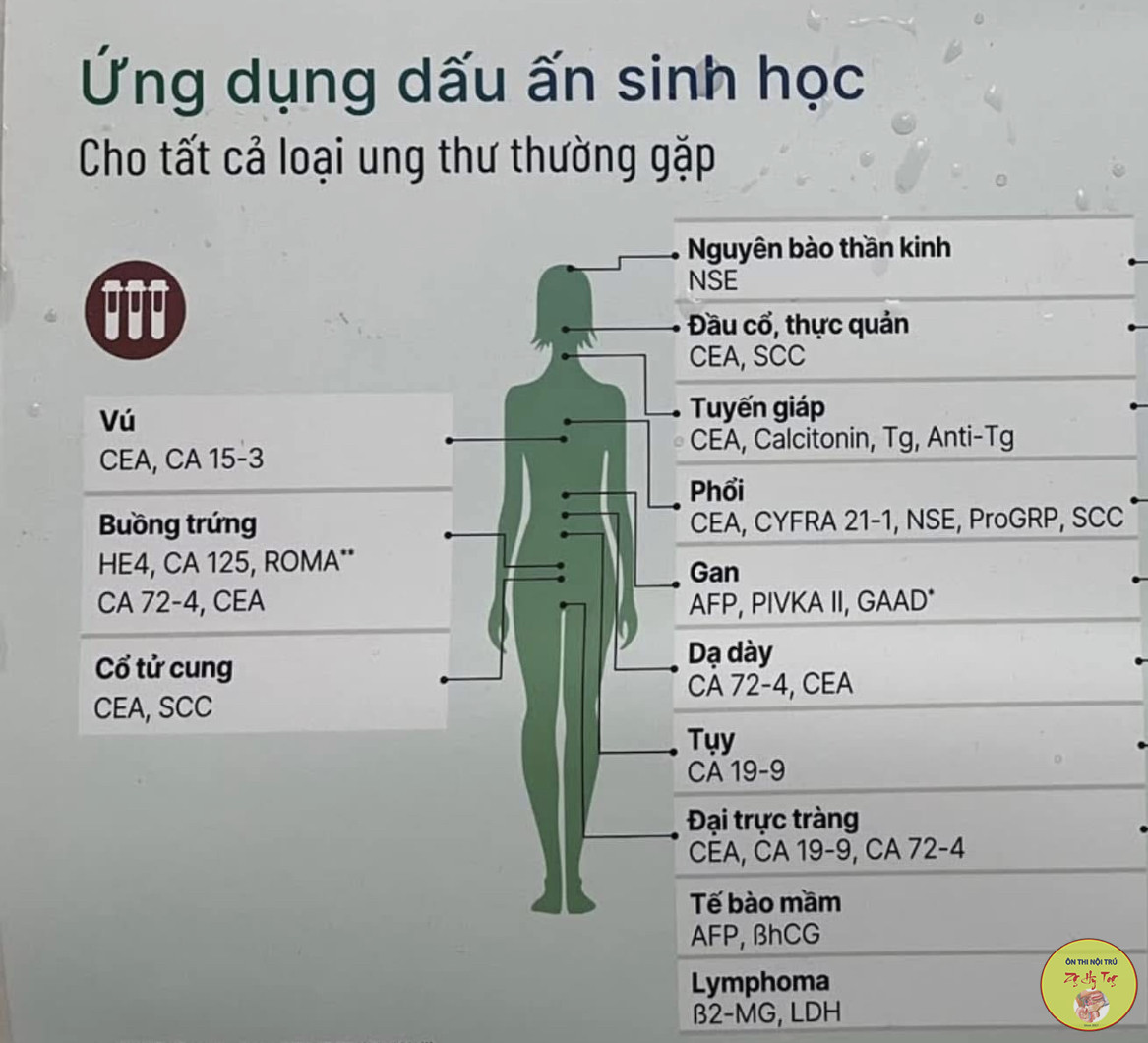 TRẮC NGHIỆM HOÁ SINH - ÔN THI NỘI TRÚ